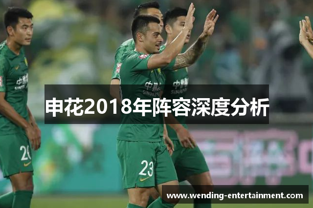 申花2018年阵容深度分析