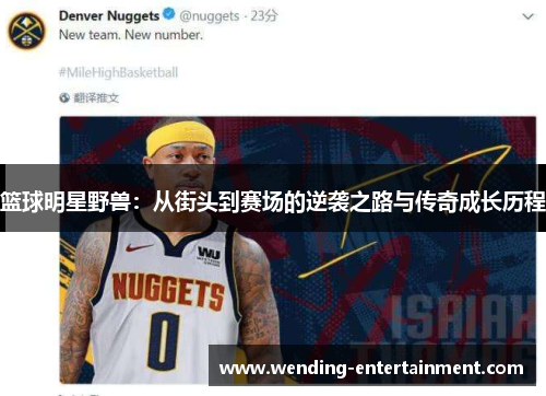 篮球明星野兽：从街头到赛场的逆袭之路与传奇成长历程